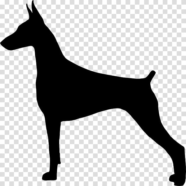 Dog Silhouette, Dobermann, Miniature Pinscher, German Pinscher, German Shepherd, Great Pyrenees, Collie, Decal transparent background PNG clipart