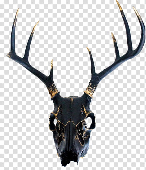 Black Golden s, black and gold deer skull decor transparent background PNG clipart