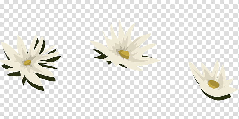 White Lily Flower, Madonna Lily, White Waterlily, Plants, Water Lily, Water Lilies, Yellow, Cut Flowers, Daisy, Petal transparent background PNG clipart