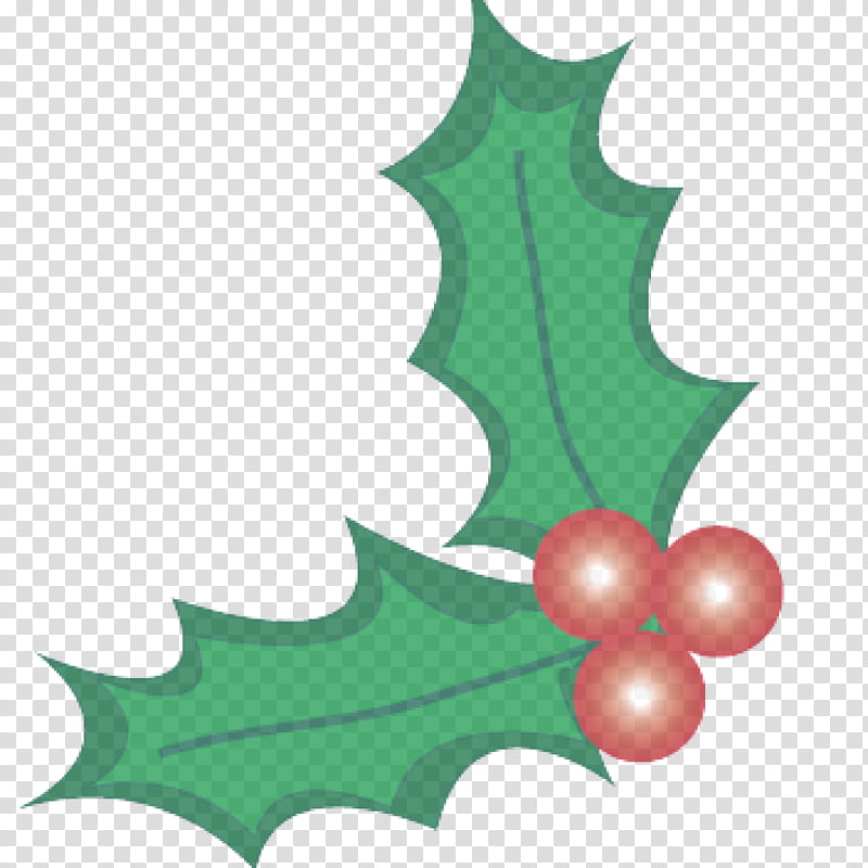 Holly, Leaf, Green, Plant, Tree, Plane, Hollyleaf Cherry transparent background PNG clipart