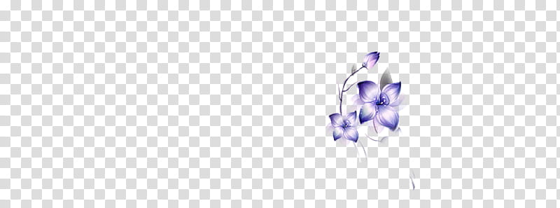 purple petaled flower transparent background PNG clipart