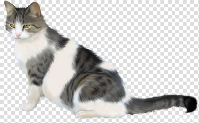 Cartoon Cat, Siamese Cat, European Shorthair, Turkish Angora, Blog, Black Cat, Whiskers, Painting transparent background PNG clipart