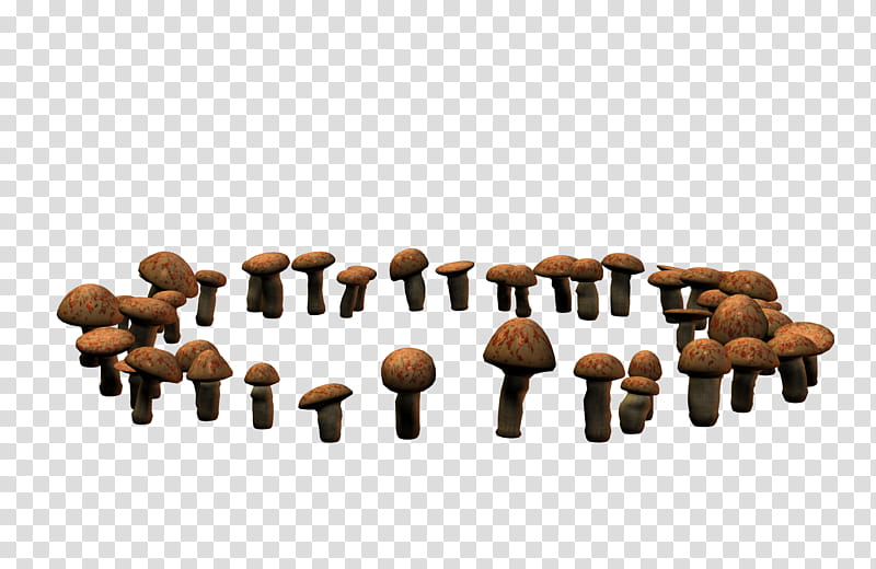 E S Mushrooms II Fairy Rings, brown mushrooms illustration transparent background PNG clipart