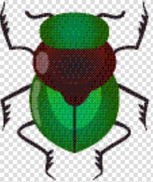 Leaf, Weevil, Dung Beetle, Pest, Scarab, Cow Dung, Membrane, Insect transparent background PNG clipart