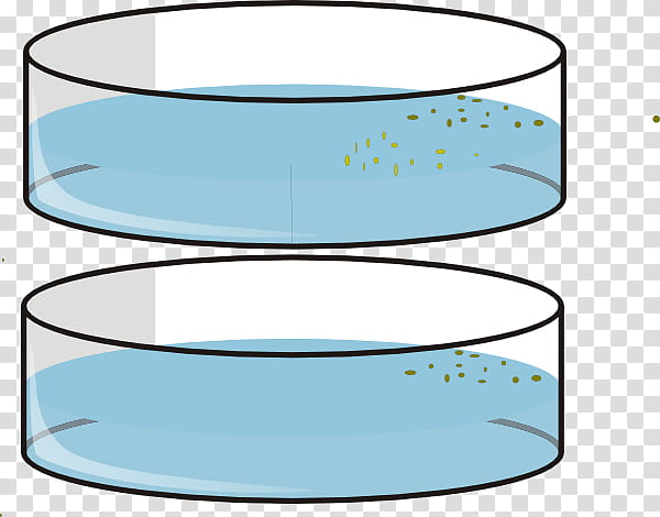 Petri Dishes Line, Drawing, Cylinder, Pipette, Cell Culture, Cartoon, Julius Richard Petri, Area transparent background PNG clipart