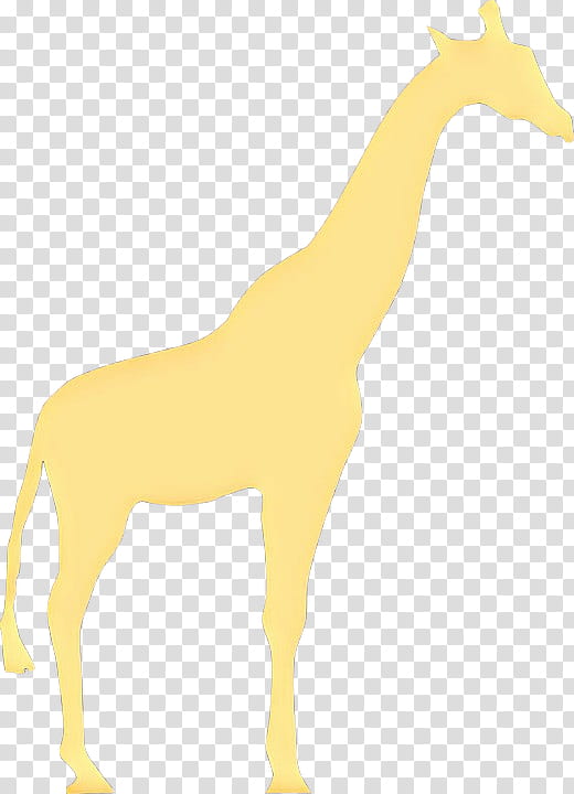 giraffe giraffidae animal figure wildlife terrestrial animal, Cartoon, Mane, Tail transparent background PNG clipart