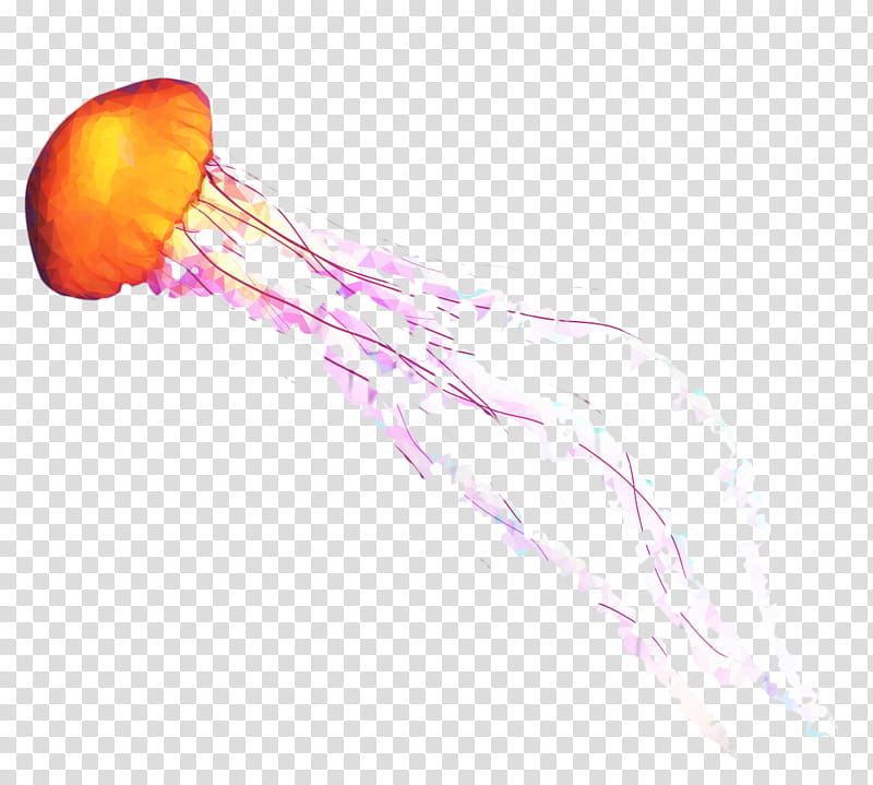 Jellyfish, Cnidaria transparent background PNG clipart