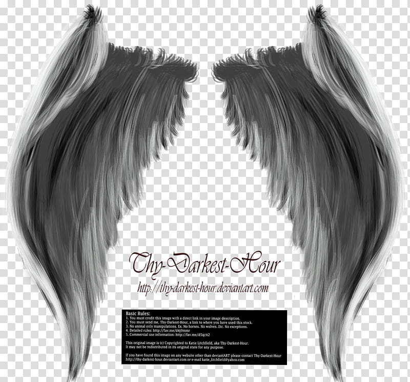 My Soul to Keep Wings Silver Free transparent background PNG clipart