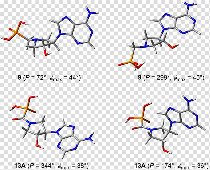 Gradient, Conformational Isomerism, Pyrrolidine, Angle, Point, Nucleotide, Peptide, Molecular Modelling transparent background PNG clipart
