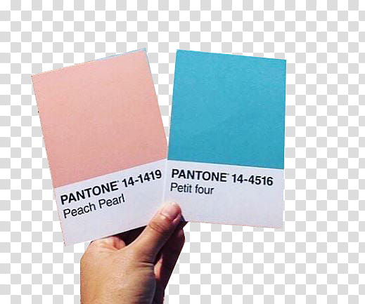 SHARE PANTONE Jaexi Part , Pantone peach pearl and petit four transparent background PNG clipart