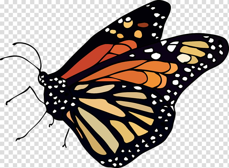 Monarch Butterfly Drawing, Brushfooted Butterflies, Pieridae, Insect, Speckled Wood, Sticker, Pupa, Caterpillar transparent background PNG clipart