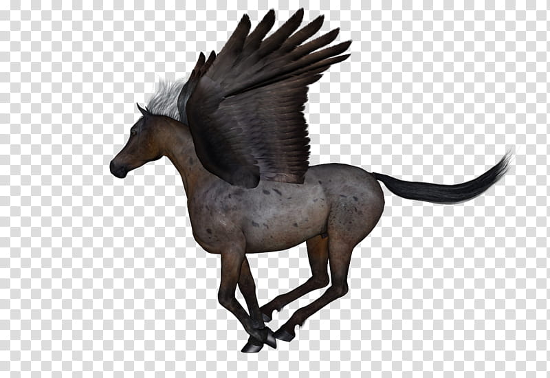 Free Resource Pegasus Running, pegasus illustration transparent background PNG clipart