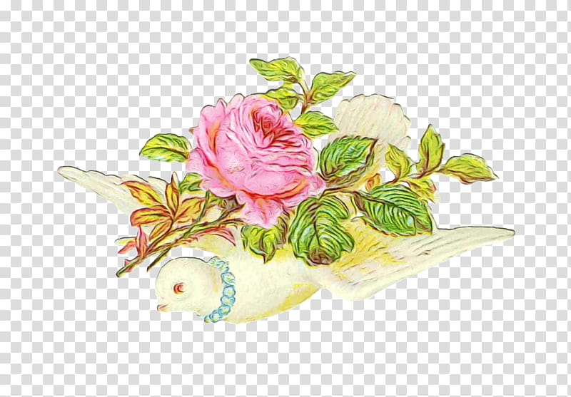 Watercolor Pink Flowers, Paint, Wet Ink, Pigeons And Doves, Garden Roses, Bird, Cabbage Rose, Floral Design transparent background PNG clipart
