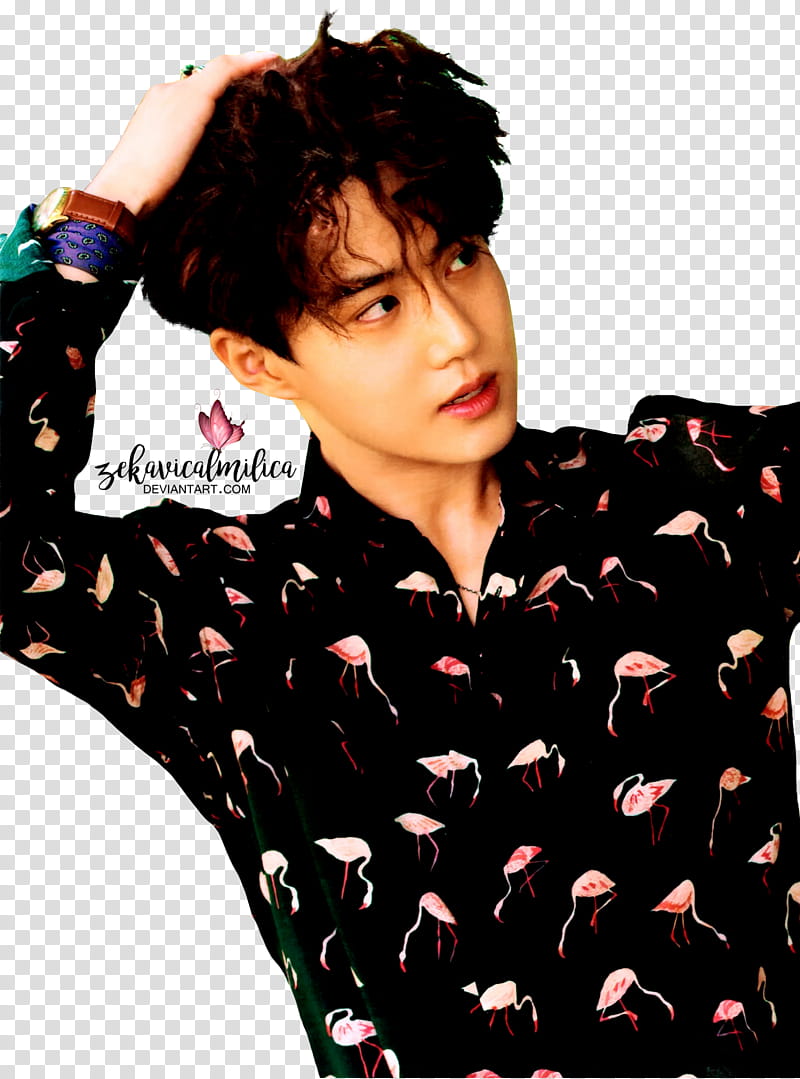 EXO Suho The War, man wearing black flamingo print sport shirt transparent background PNG clipart