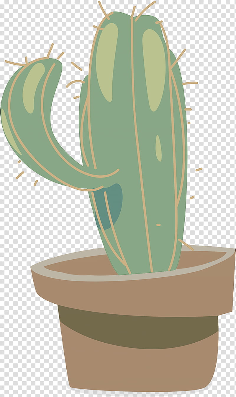 Cactus, Flowerpot, Green, Houseplant, San Pedro Cactus, Caryophyllales, Terrestrial Plant, Prickly Pear transparent background PNG clipart