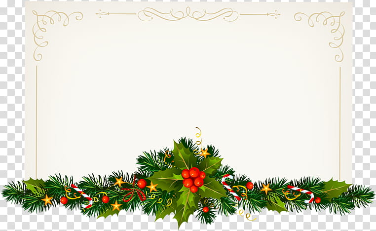 Christmas decoration, Holly, Fir, Plant, Tree, Interior Design, Frame, Colorado Spruce transparent background PNG clipart
