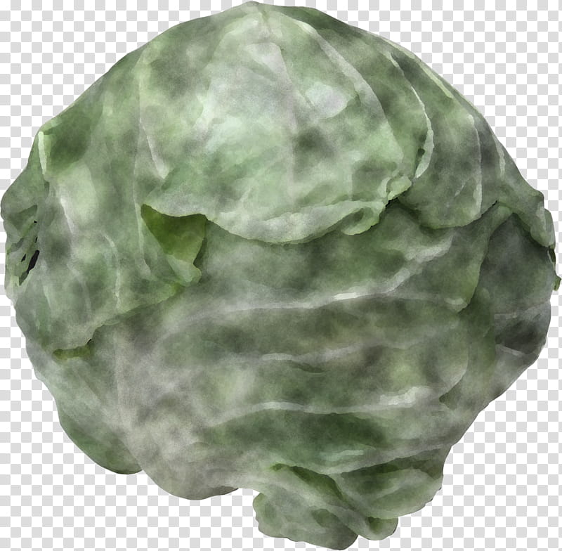 green cabbage leaf plant leaf vegetable, Wild Cabbage, Cap transparent background PNG clipart