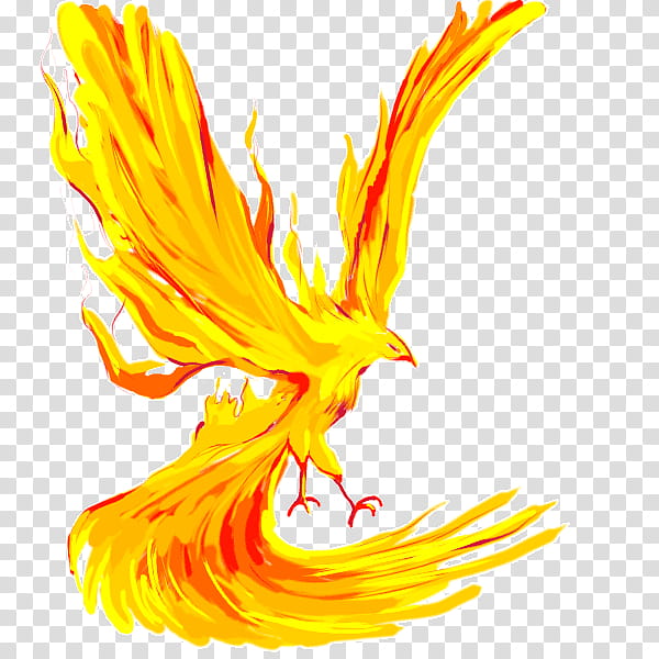 Eagle Drawing, Cartoon, Phoenix, Pencil, Lethalchris Drawing, Fire, Howto, Tutorial transparent background PNG clipart