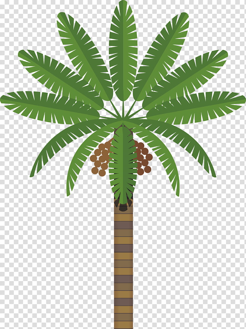 Date Tree Leaf, Brisbane, Printing, Churches Of Christ In Queensland, Education
, Key West, Plant, Palm Tree transparent background PNG clipart