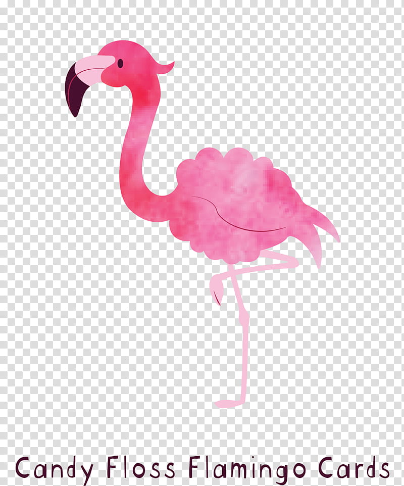 Pink Flamingo, Cotton Candy, Web Design, Project, Post Cards, Company, Resource, Pink M transparent background PNG clipart