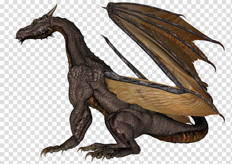 Dragon , black dragon D transparent background PNG clipart