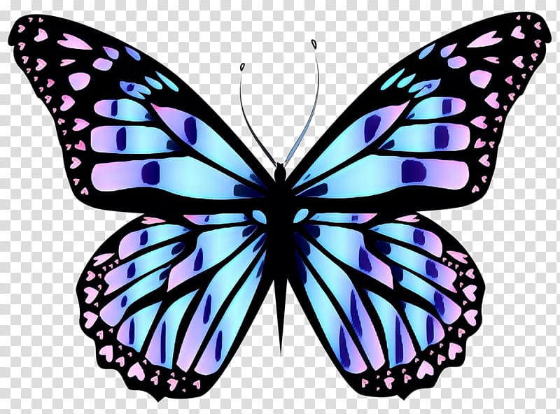 Monarch Butterfly, Pop Art, Retro, Vintage, Limenitis Arthemis, Purple, Blue, Insect transparent background PNG clipart