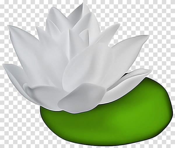 Lotus, White, Green, Petal, Leaf, Lotus Family, Aquatic Plant, Sacred Lotus transparent background PNG clipart