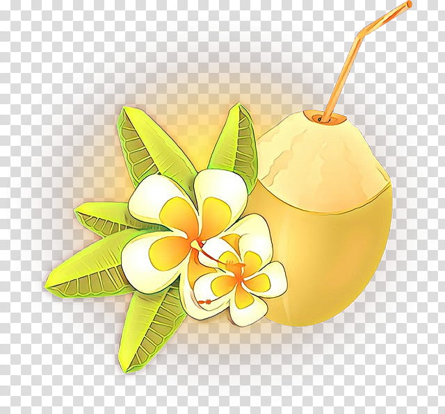 Frangipani Flower, Still Life , Yellow, Fruit, Petal, Plant, Wheel, Paper transparent background PNG clipart