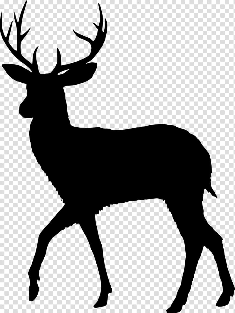 Reindeer, Fallow Deer, Silhouette, Hunting, Chital, Deer Hunting, Elk, Antler transparent background PNG clipart