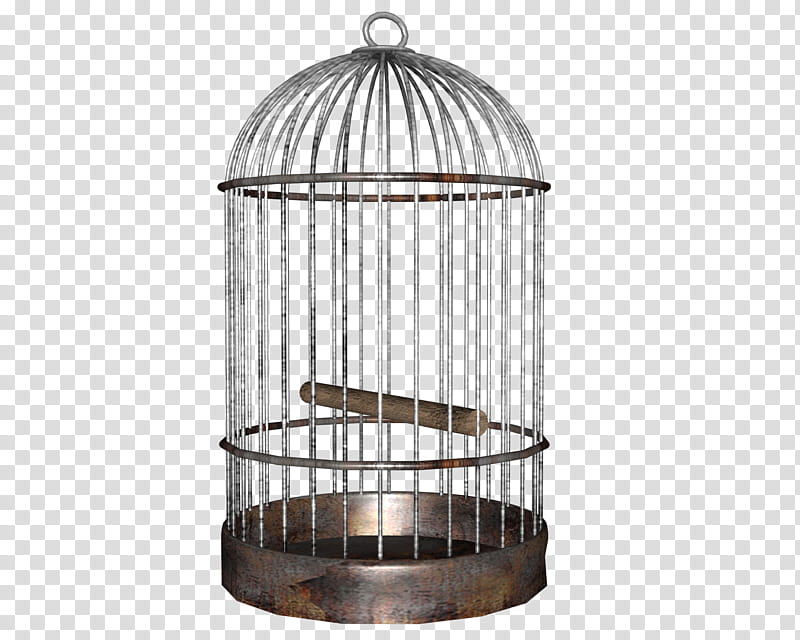 bird cage side shot of many, black bird cage transparent background PNG clipart