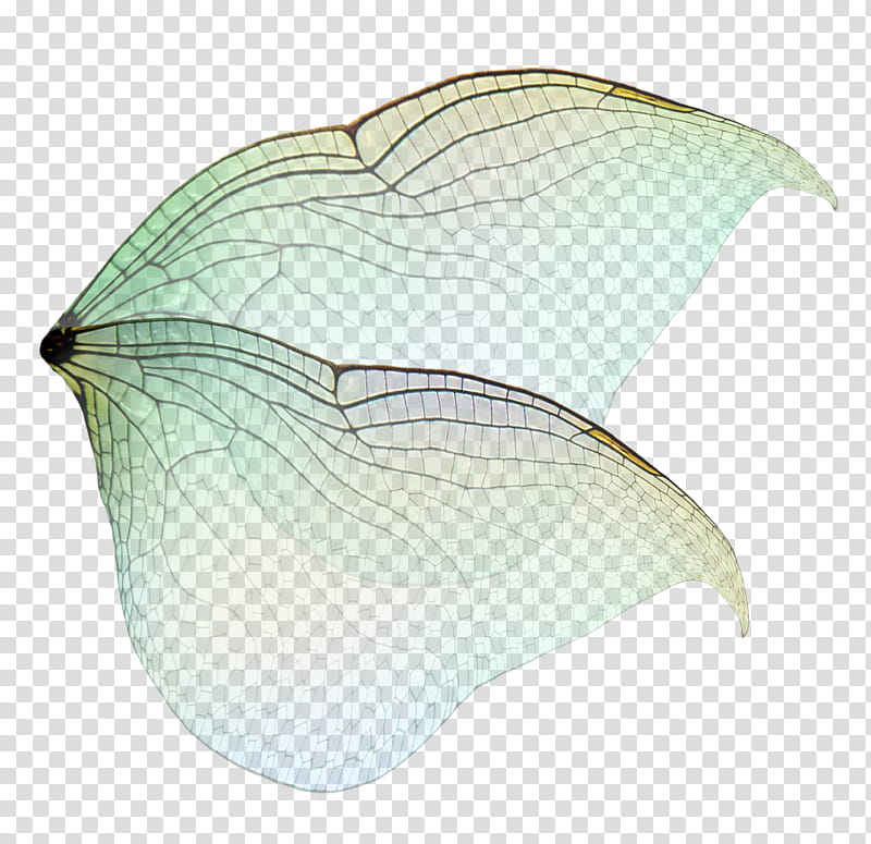 FAERY WINGS  All Things Precious transparent background PNG clipart