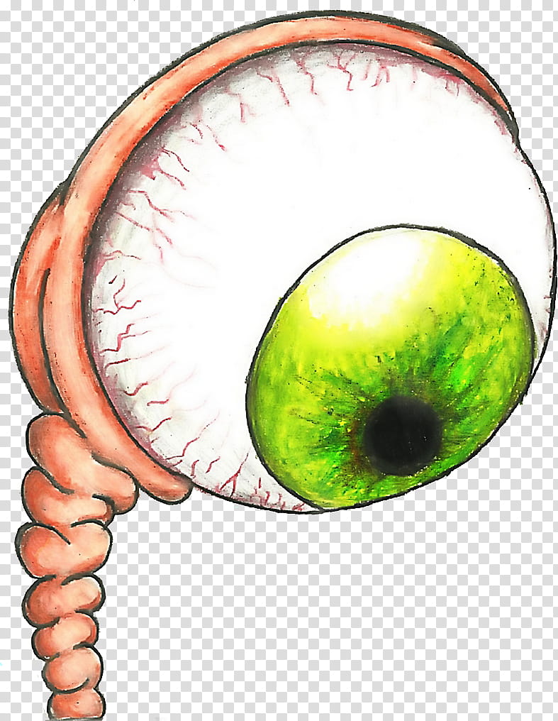 Psy Green Eyes transparent background PNG clipart