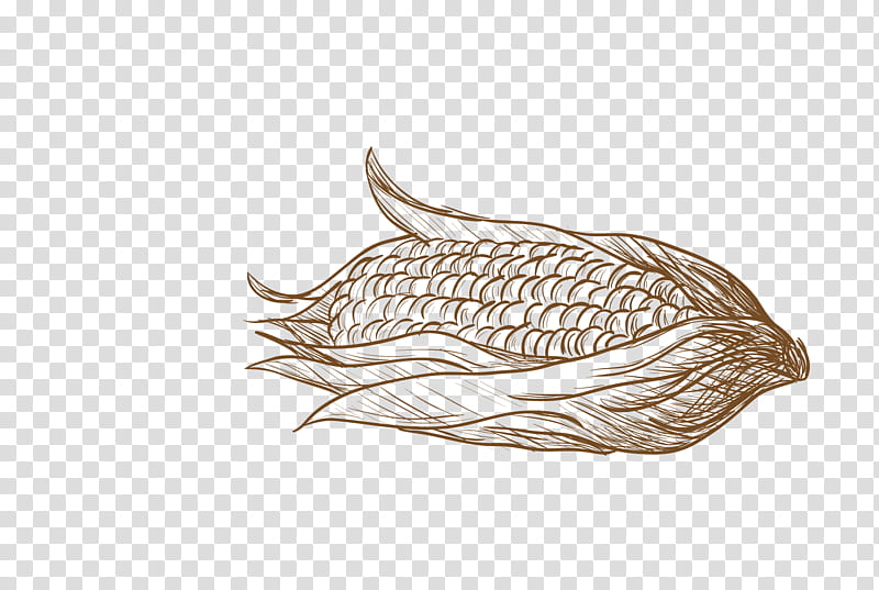 Leaf Drawing, Corn, Food, Grain, Oat, Logo, Vegetable, Silver transparent background PNG clipart