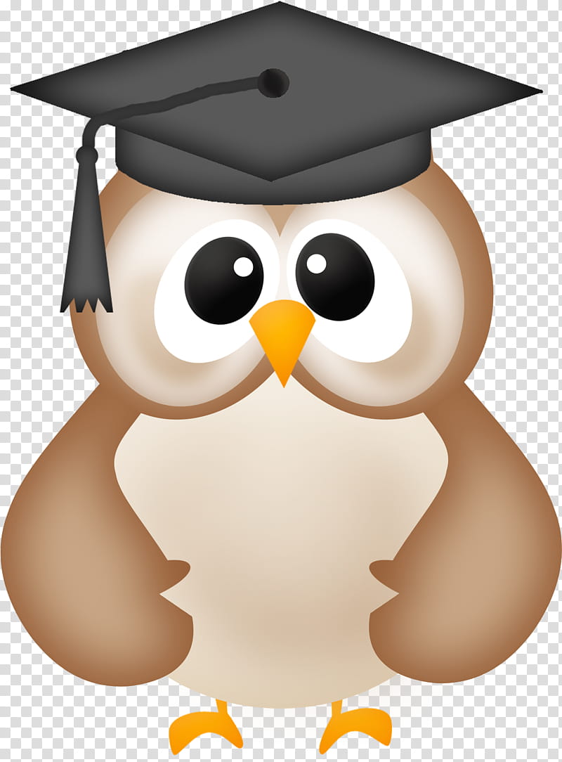 Graduation, Graduation Ceremony, Owl, Graduate University, School
, Diploma, Square Academic Cap, Bird transparent background PNG clipart