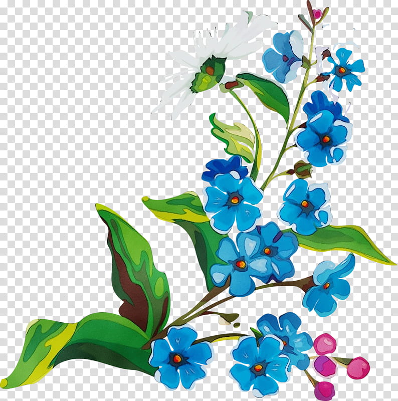 flower plant flowering plant forget-me-not, Watercolor, Paint, Wet Ink, Forgetmenot, Wildflower, Branch, Borage Family transparent background PNG clipart