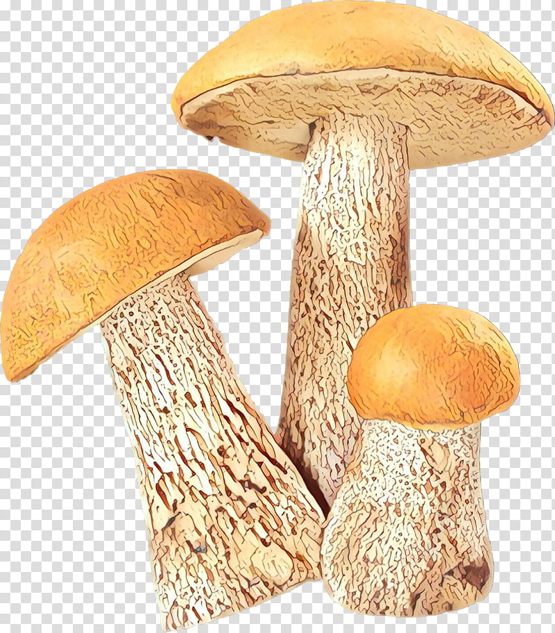 Mushroom, Edible Mushroom, Fungus, Pleurotus Eryngii, True Morels, Death Cap, Aspen Mushroom, Drawing transparent background PNG clipart