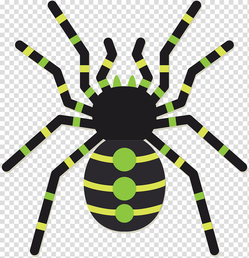 Cartoon Spider, Insect, Color, Green, Cartoon, Antenna, Yellow, Blue transparent background PNG clipart