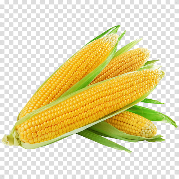 Popcorn, Corn On The Cob, Flint Corn, Sweet Corn, Baked Potato, Corn Kernel, Vegetable, Corncob transparent background PNG clipart