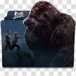 Kong Skull Island  Folder Icon , Kong Skull Island v_x transparent background PNG clipart