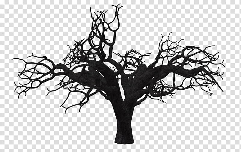 Tree , black withered tree illustration transparent background PNG clipart