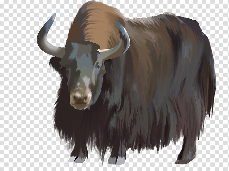 Painting, Domestic Yak, Ox, Horn, Bison, Bull, Digital Painting, Bovine transparent background PNG clipart
