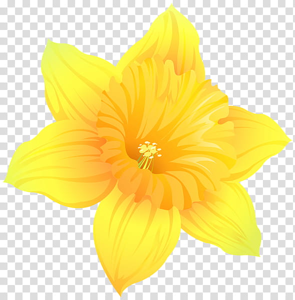 Flower Plant, Daffodil, Art Museum, Pixel Art, Petal, Yellow, Narcissus, Amaryllis Family transparent background PNG clipart