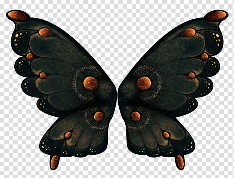 Object Wings , black and orange butterfly art transparent background PNG clipart