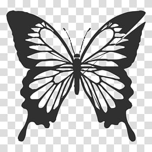 monarch butterfly stencils