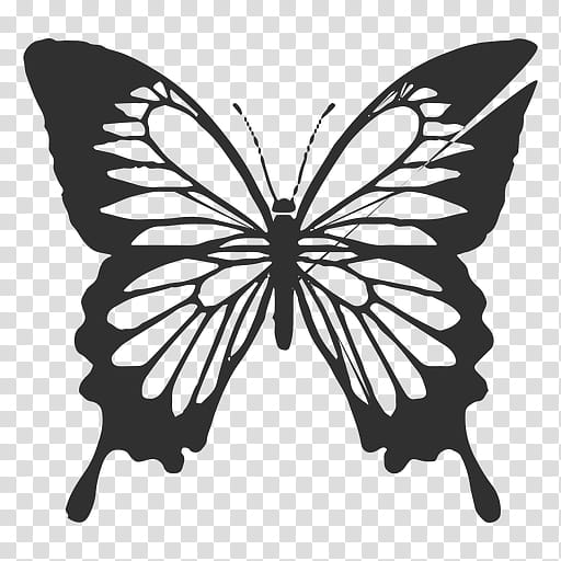 Butterfly Stencil, Silhouette, Monarch Butterfly, Moths And Butterflies, Papilio Machaon, Insect, Blackandwhite, Swallowtail Butterfly transparent background PNG clipart