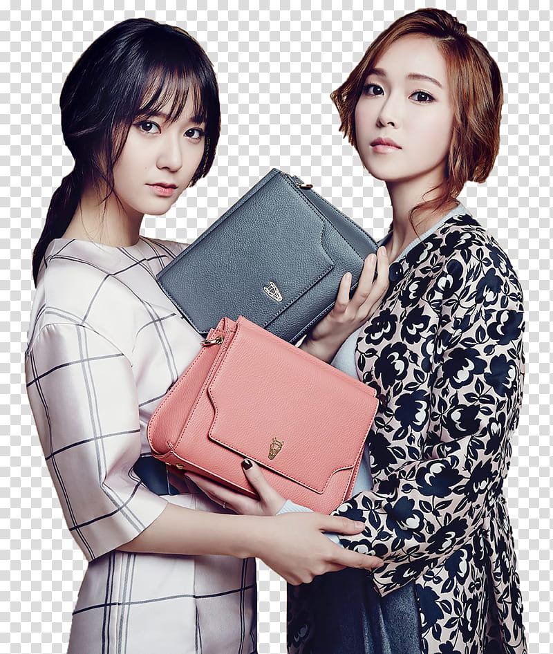 JUNG SISTERS JESSICA N KRYSTAL transparent background PNG clipart