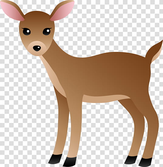 baby white tailed deer clipart