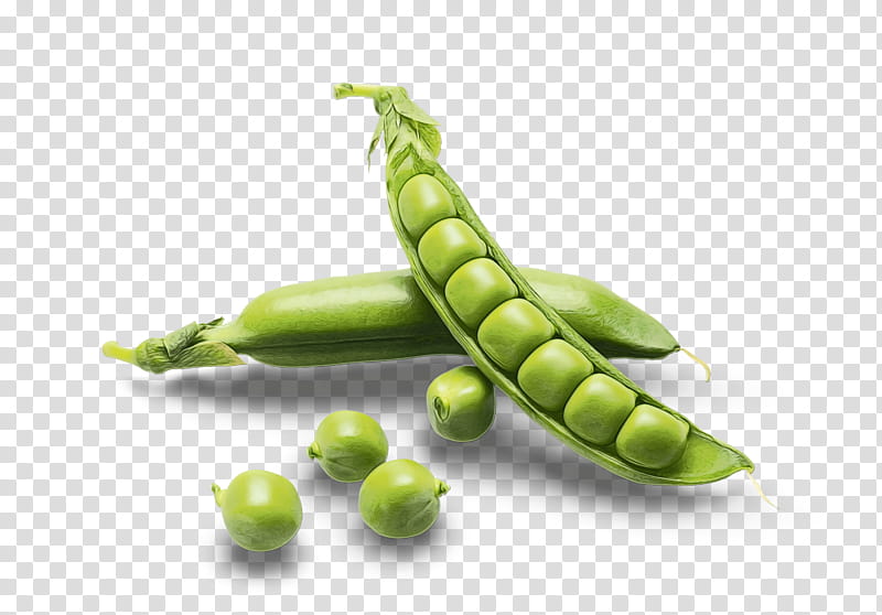 Vegetable, Snap Pea, Food, Lima Bean, Vegetarian Cuisine, Broad Bean, Green Bean, Superfood transparent background PNG clipart