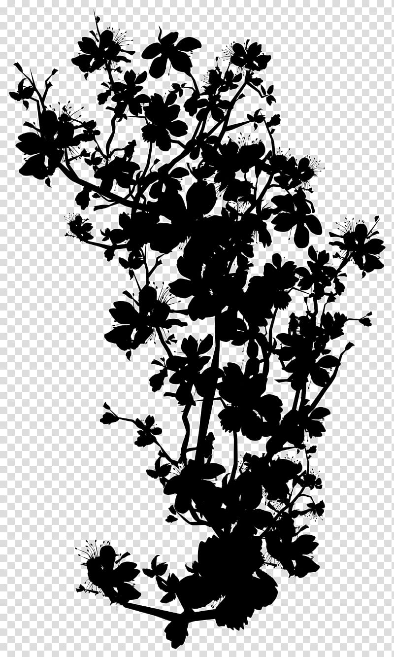 Tree Branch Silhouette, Twig, Flower, Plant Stem, Leaf, Plants, Blackandwhite, Woody Plant transparent background PNG clipart