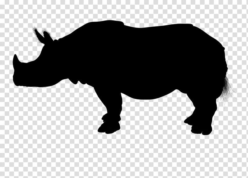 Miniature Zebu Rhinoceros, Brahman Cattle, Silhouette, Beef Cattle, Live Show, Sticker, White Rhinoceros, Black Rhinoceros transparent background PNG clipart